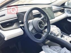 بي واي دي سيل 06 DM-i